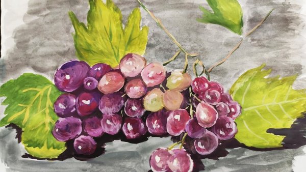 Катя Федорова рисунок гуашью виноград