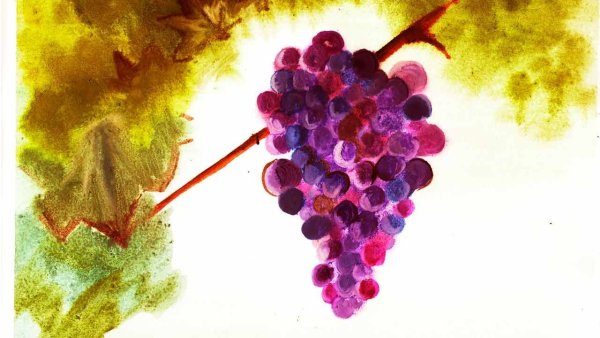 Правополушарное рисование виноград