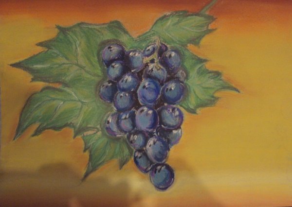 Кисть винограда краска