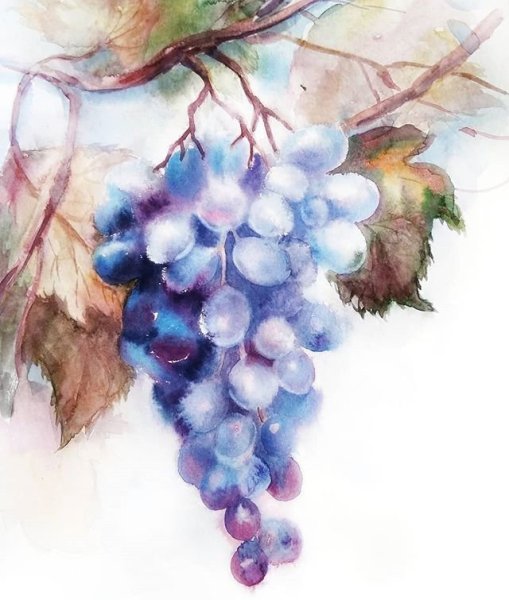 Виноград гуашью