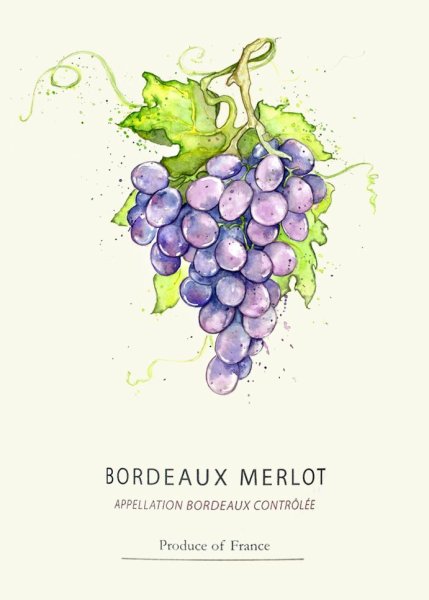 Анастасия Беседина акварель гроздь винограда