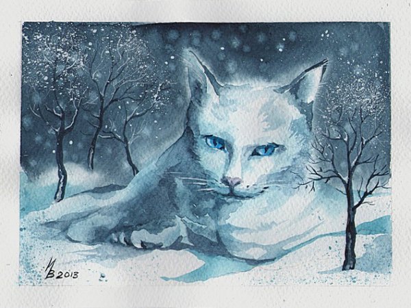 Зимний кот акварель