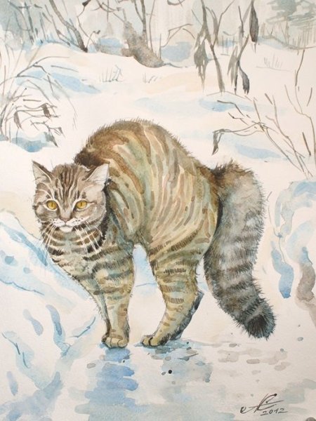 Коты в снегу акварель