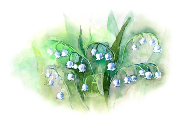 Ландыши акварелью