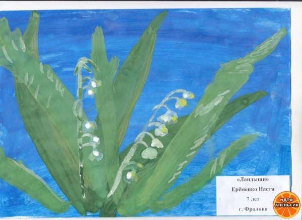 Рисование Ландыши старшая группа