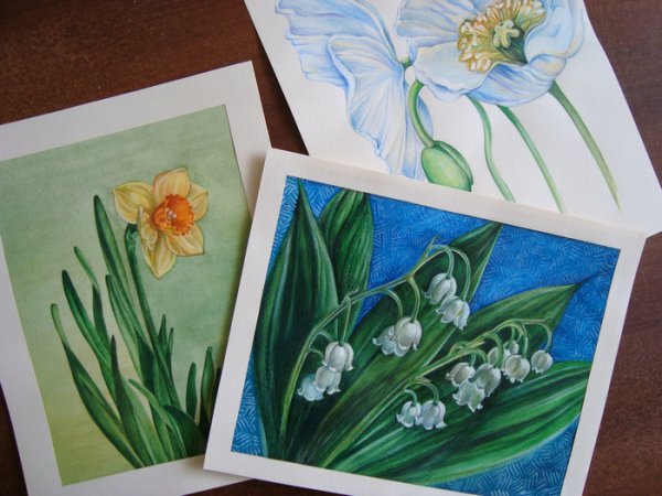 Ландыш рисунок карандашом цветным