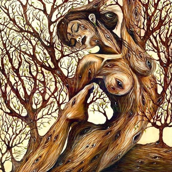 Лисет алькальд художник