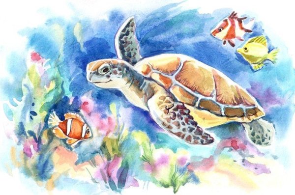 Морские обитатели акварелью