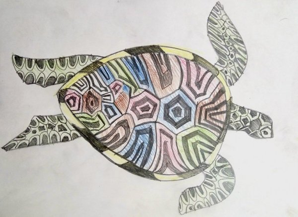 Черепаха гуашью