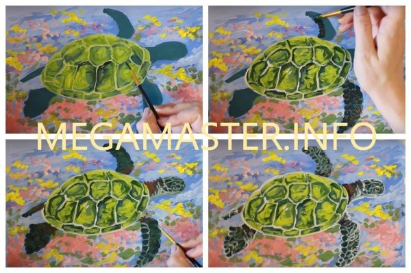 Рисование с малышами черепах