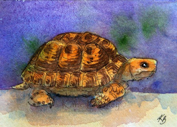 Луиджи Пиранделло черепаха