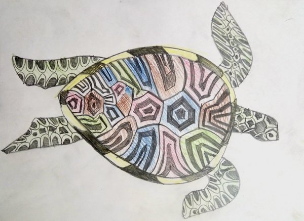 Черепаха гуашью
