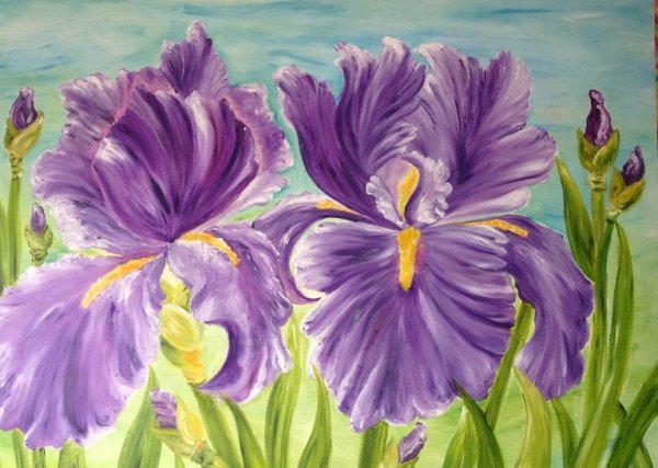 Ирис гуашью