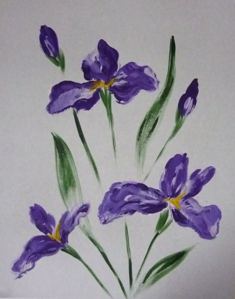 Ирис гуашью