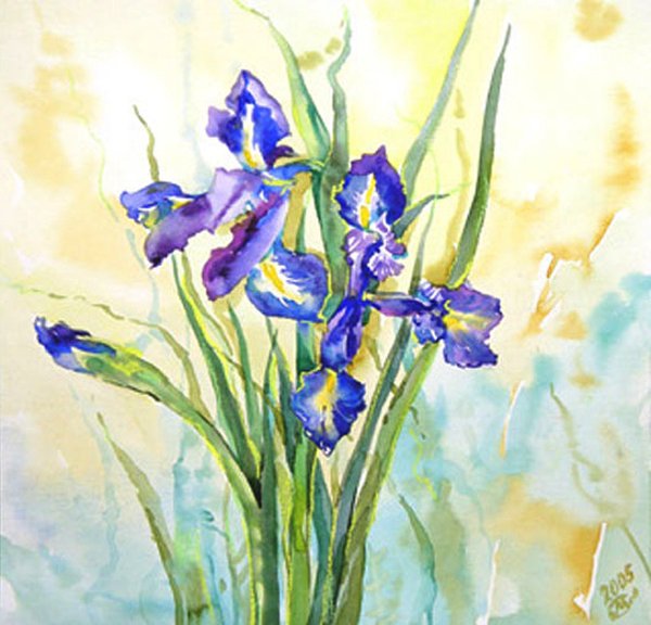 Ирисы акварелью пленэр