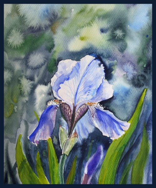 Ирисы акварель лессировка