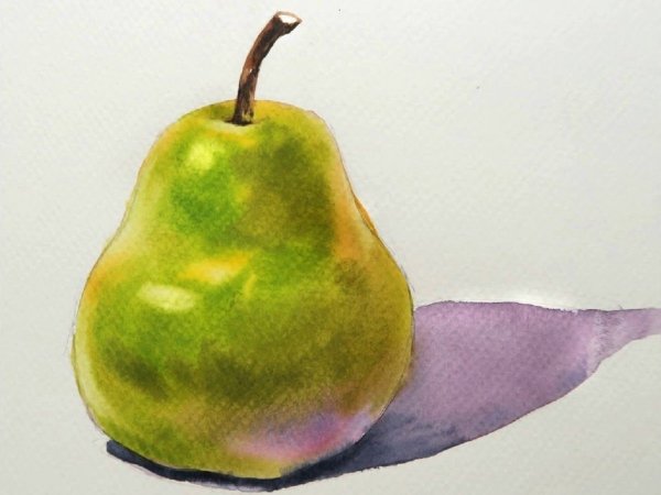 Груша акварелью Андрияка