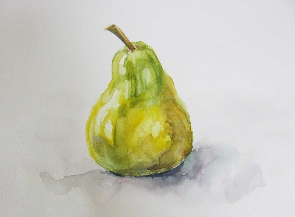 Груша акварелью Андрияка
