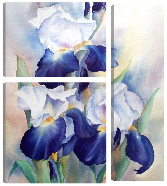 Ирисы Энн Мортимер