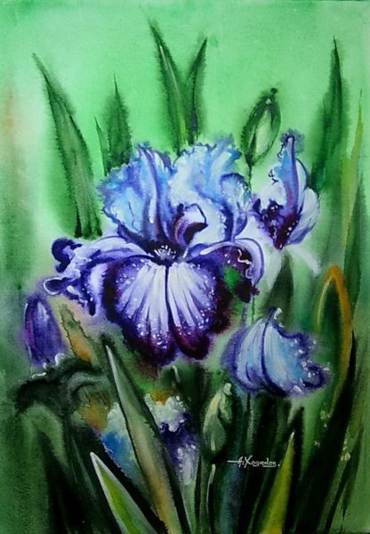 Ирисы картина гуашью