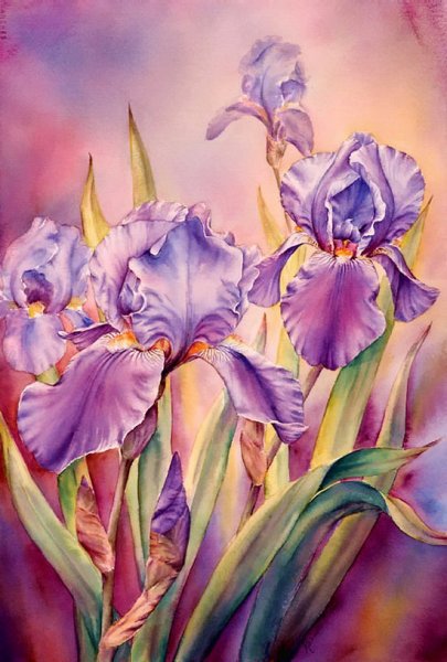 Marianne Broome картины ирисы