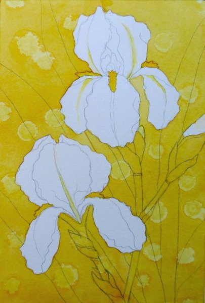 Уроки рисования акварелью ирисы