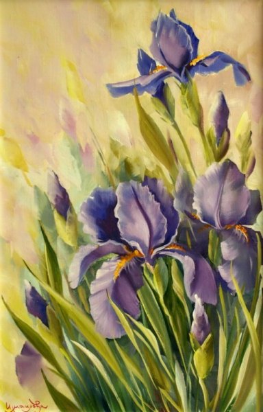 Этюд цветка (Ирис Лилия тюльпан)