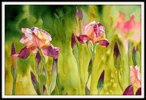 Цветы акварель для новичков