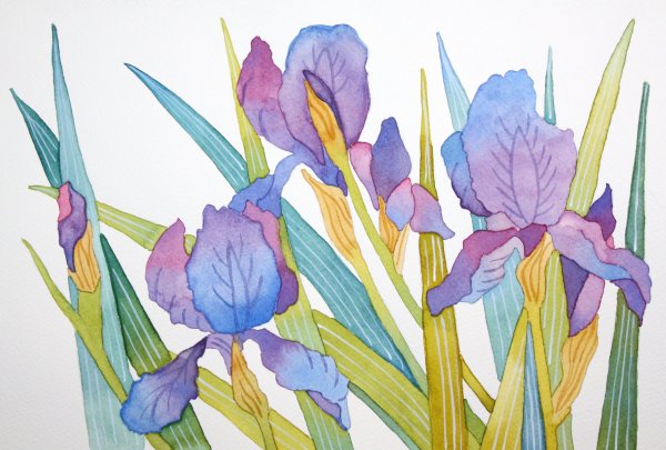Акварельные ирисы фреска