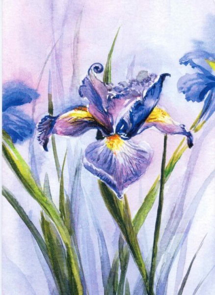 Нарисовать ирисы гуашью