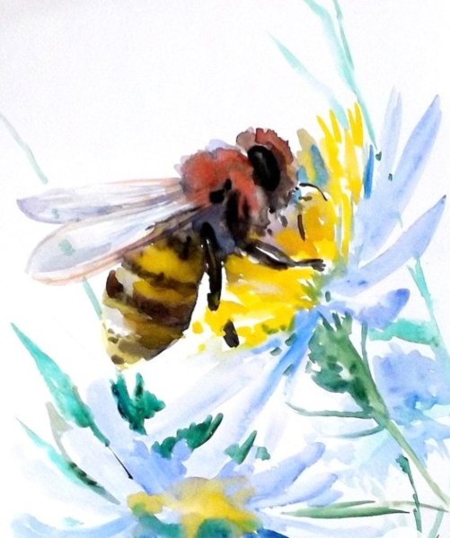 Пчела на цветке акварель
