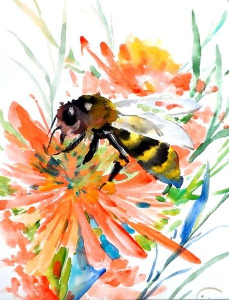 Насекомые акварелью