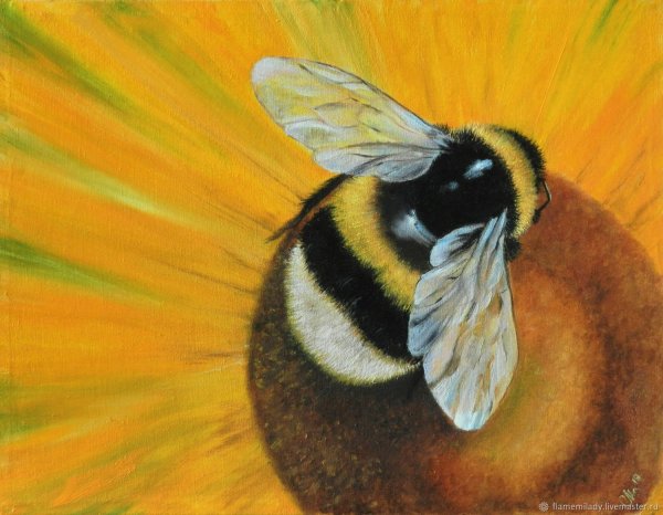 Пчела гуашью
