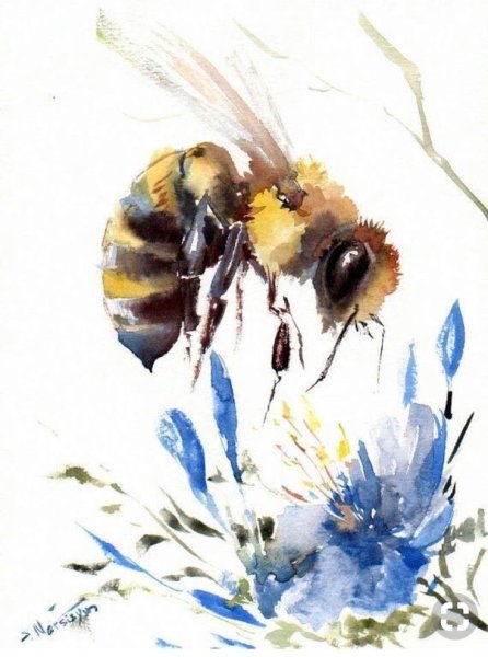Акварель "Пчелка"