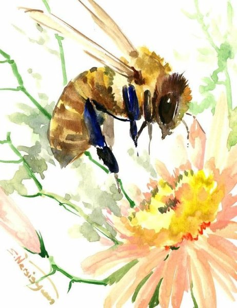 Акварель "Пчелка"