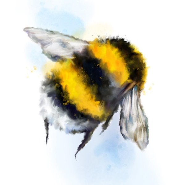 Шмель акварелью