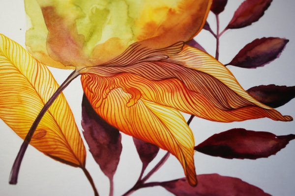 Рисование кленового листа