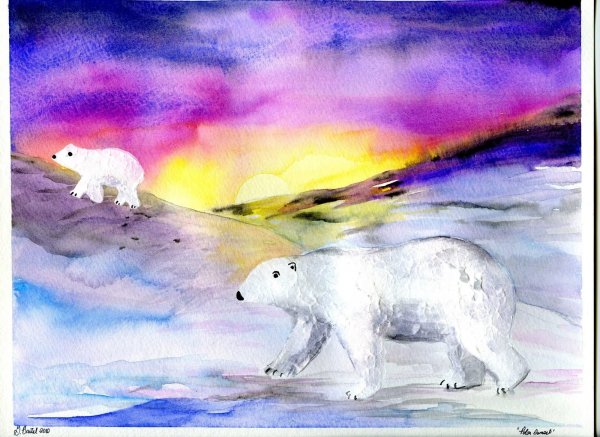 Рисование белый медведь и Северное сияние подготовительная группа