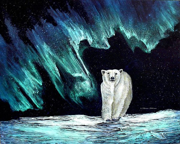 Белый медведь и Северное сияние