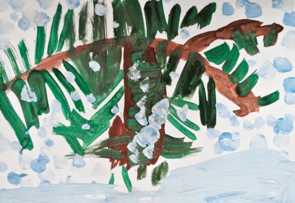 Еловая ветка рисунок гуашью