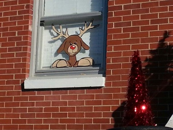 Олень на окно