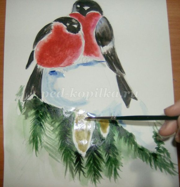Снегирь на еловой ветке пошагово