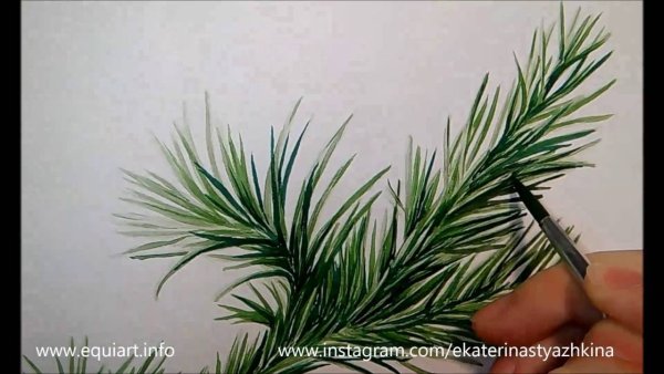 Рисование на окнах елка