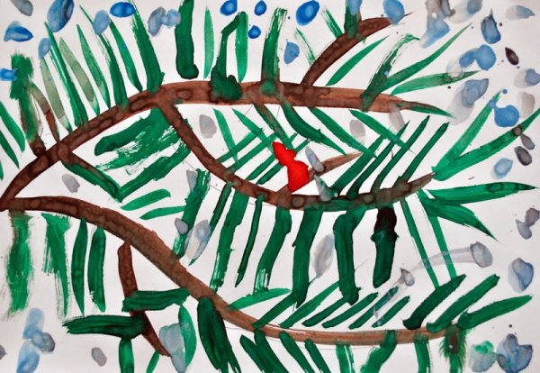 Еловая ветка рисунок гуашью