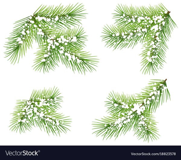 Новогодняя ветка с игрушками карандашом