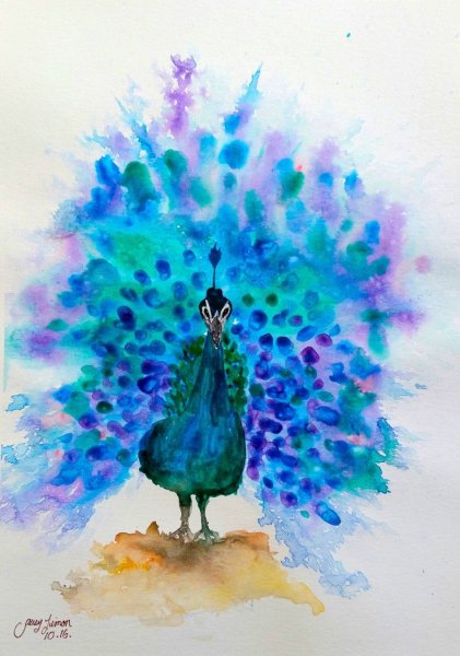 Павлин акварелью