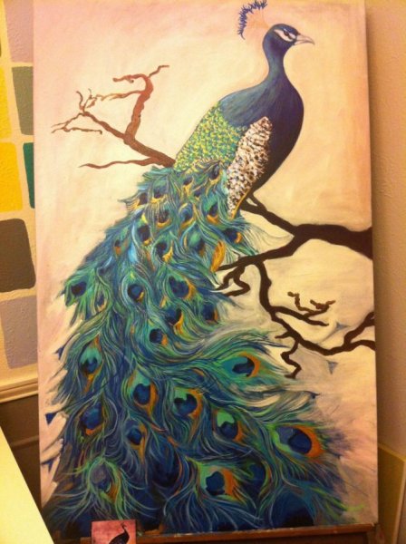 Павлин рисование красками