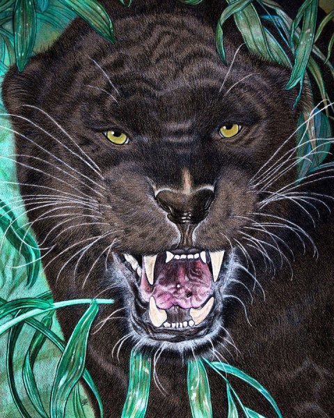 Пантера чёрная гуашью