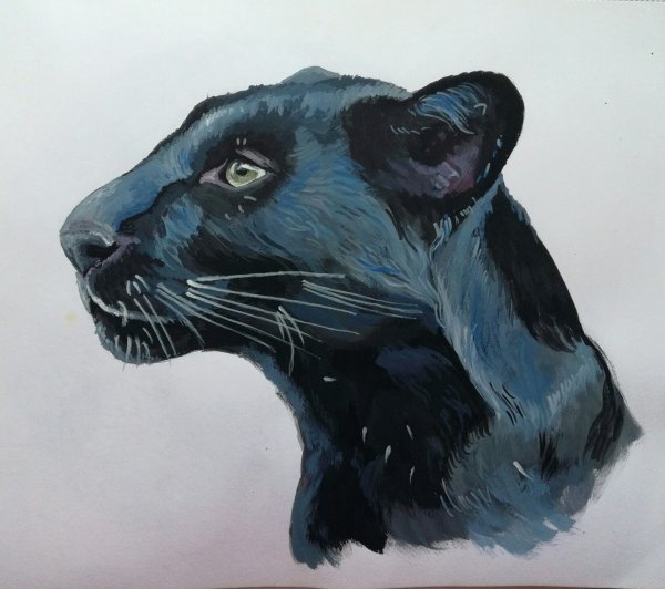 Пантера акварелью