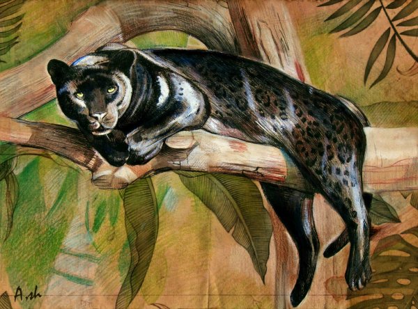 Багира Советская